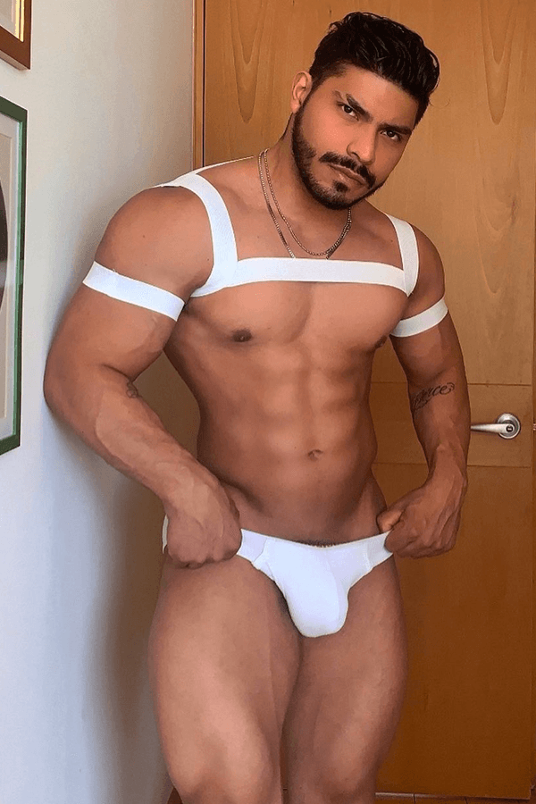 Sexy Gay Harness - JJ Malibu 
