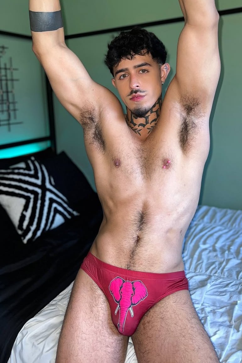 Lovesick Briefs - Red Elephant