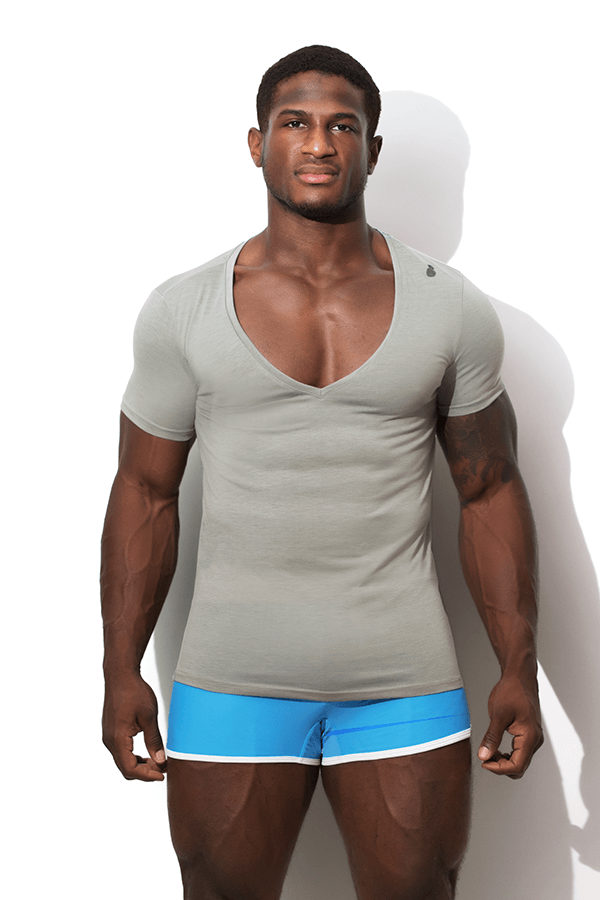 Fitted Deep V Neck T Shirt - Grey - JJ Malibu 