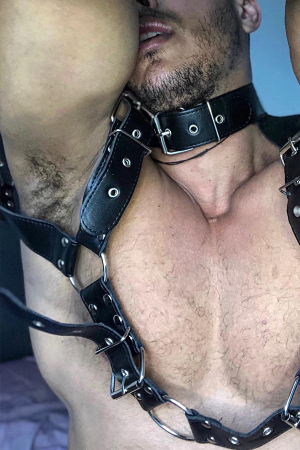 Sao Paulo Studded Leather Harness and Choker with Shoulder Pads